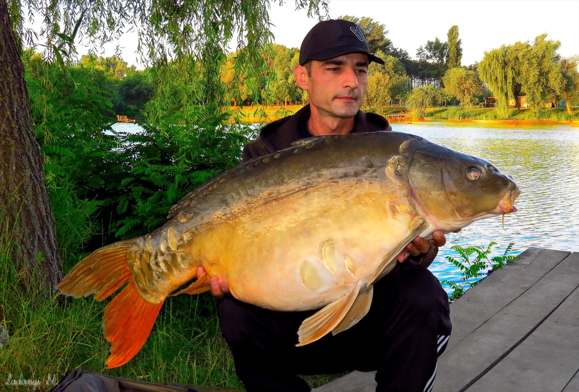 Palici - 001---ladanyi-st-palici-1-iul-2014jpg.jpg